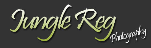 Jungle Reg Photography